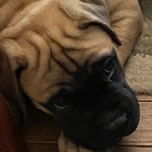 Meet your Posher, Jan